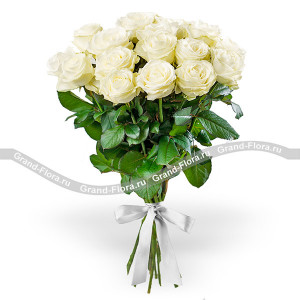15 белых роз (70см)
